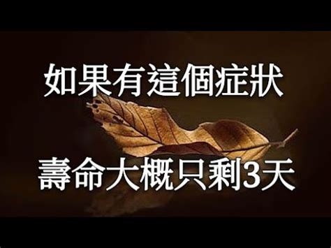 出殯前一天守靈|守靈